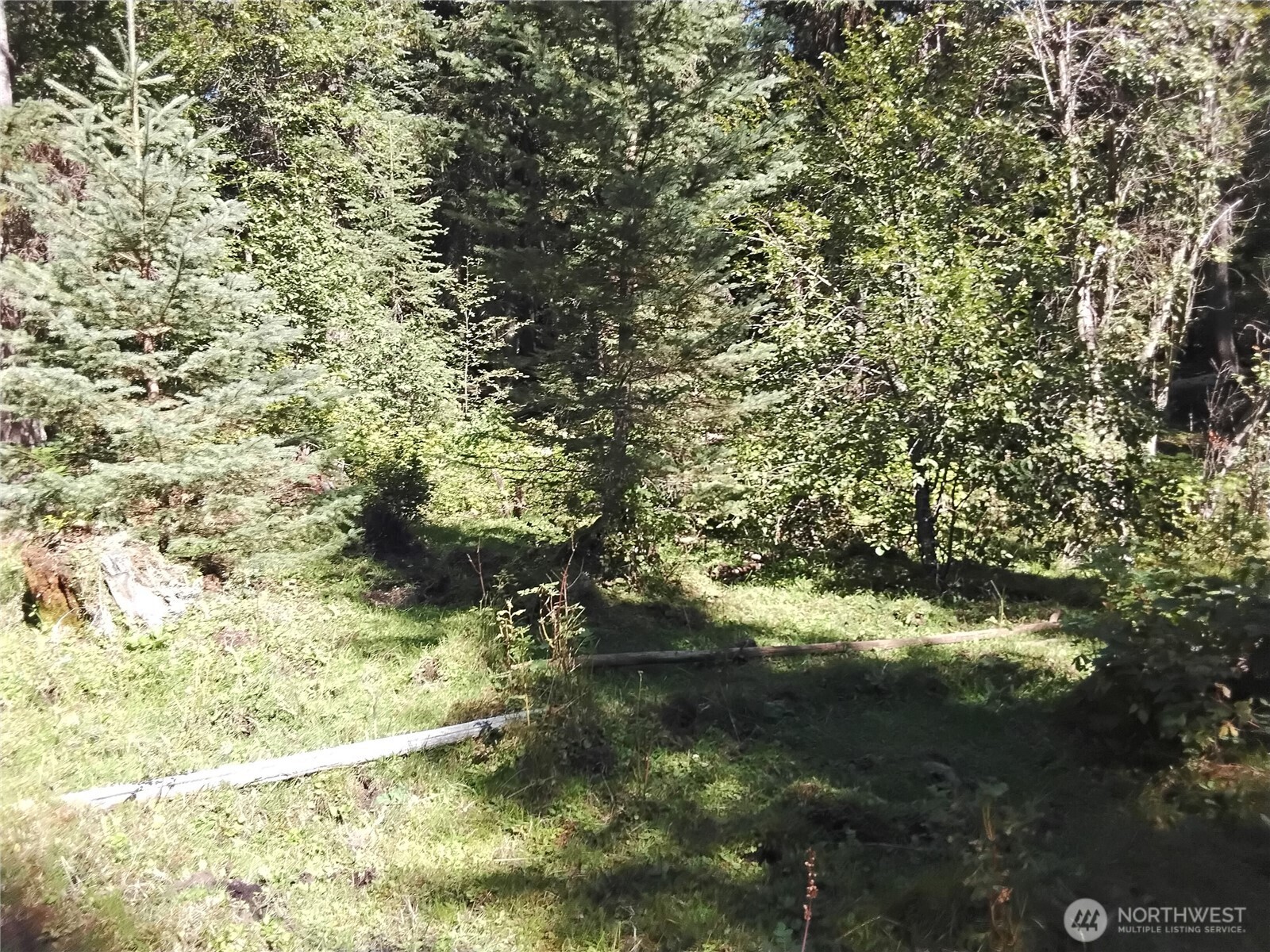 0 Little Place Road Tonasket, WA 98855 - Photo 6 of 23 a view of a yard