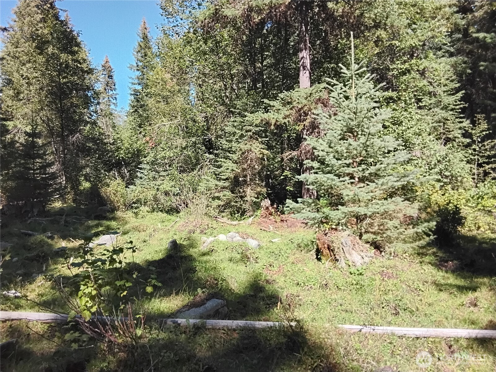 0 Little Place Road Tonasket, WA 98855 - Photo 7 of 23 a view of a yard with trees