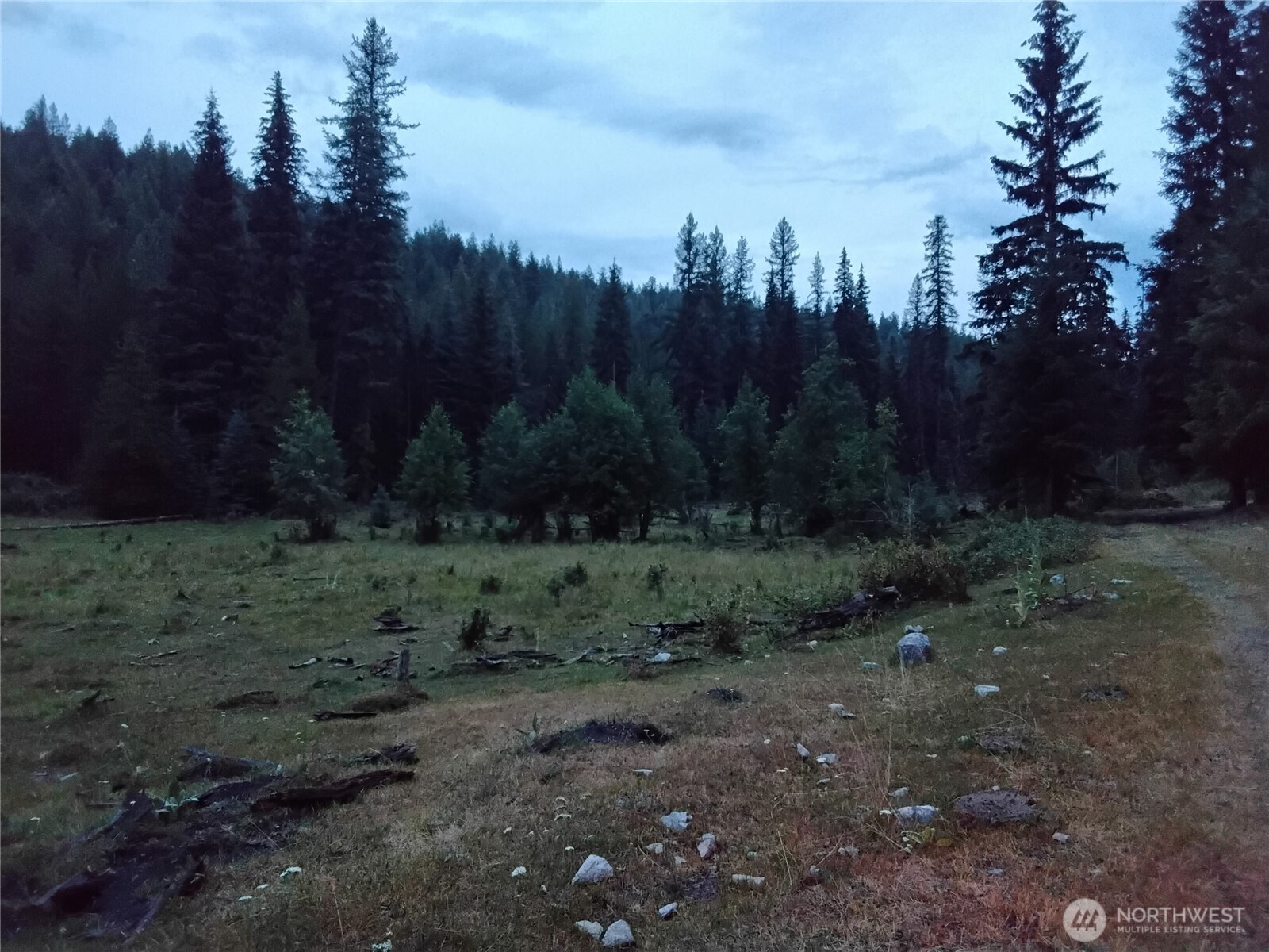 0 Little Place Road Tonasket, WA 98855 - Photo 9 of 23 a view of a forest with trees in the background
