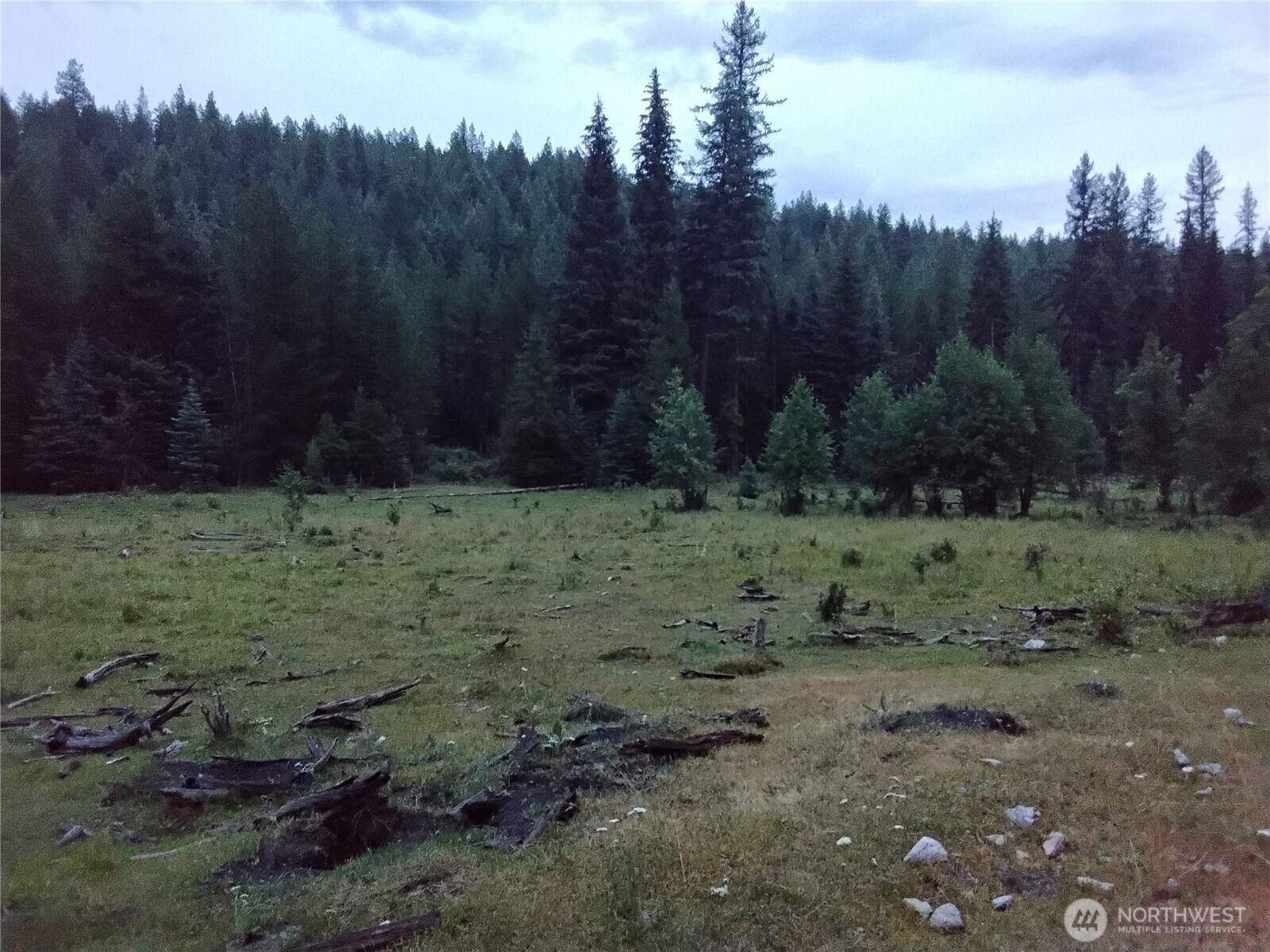 0 Little Place Road Tonasket, WA 98855 - Photo 10 of 23 a view of a field with trees in the background