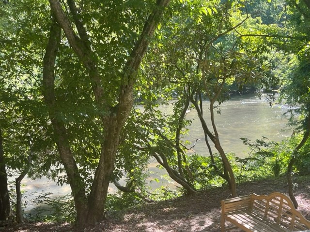 637 Riverside Drive Ellijay, GA 30540 - Photo 12 of 17 a backyard of a house with lots of green space