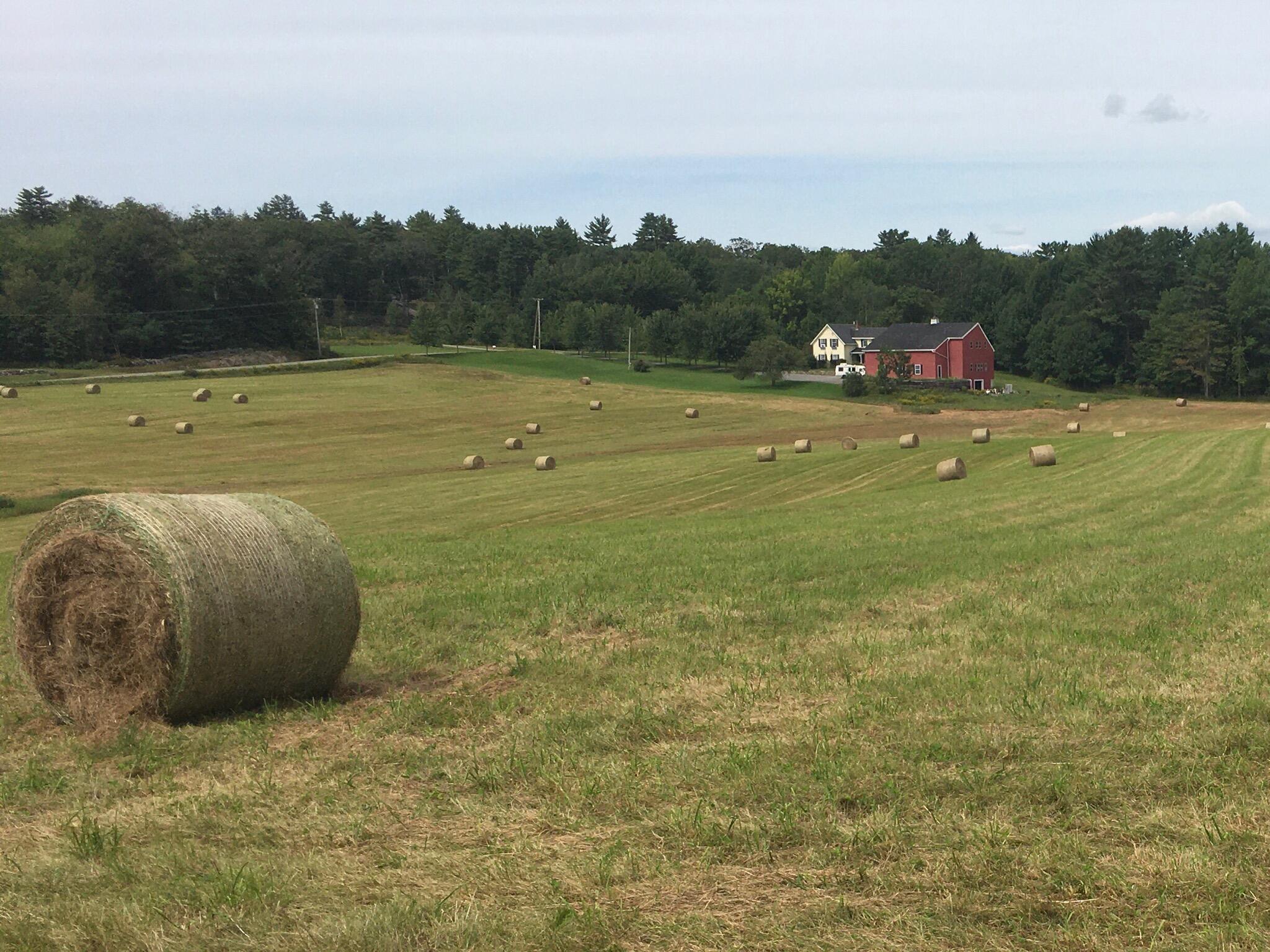 1341 Appleton Road Union, ME 04862 - Photo 18 of 42 rolls of hay