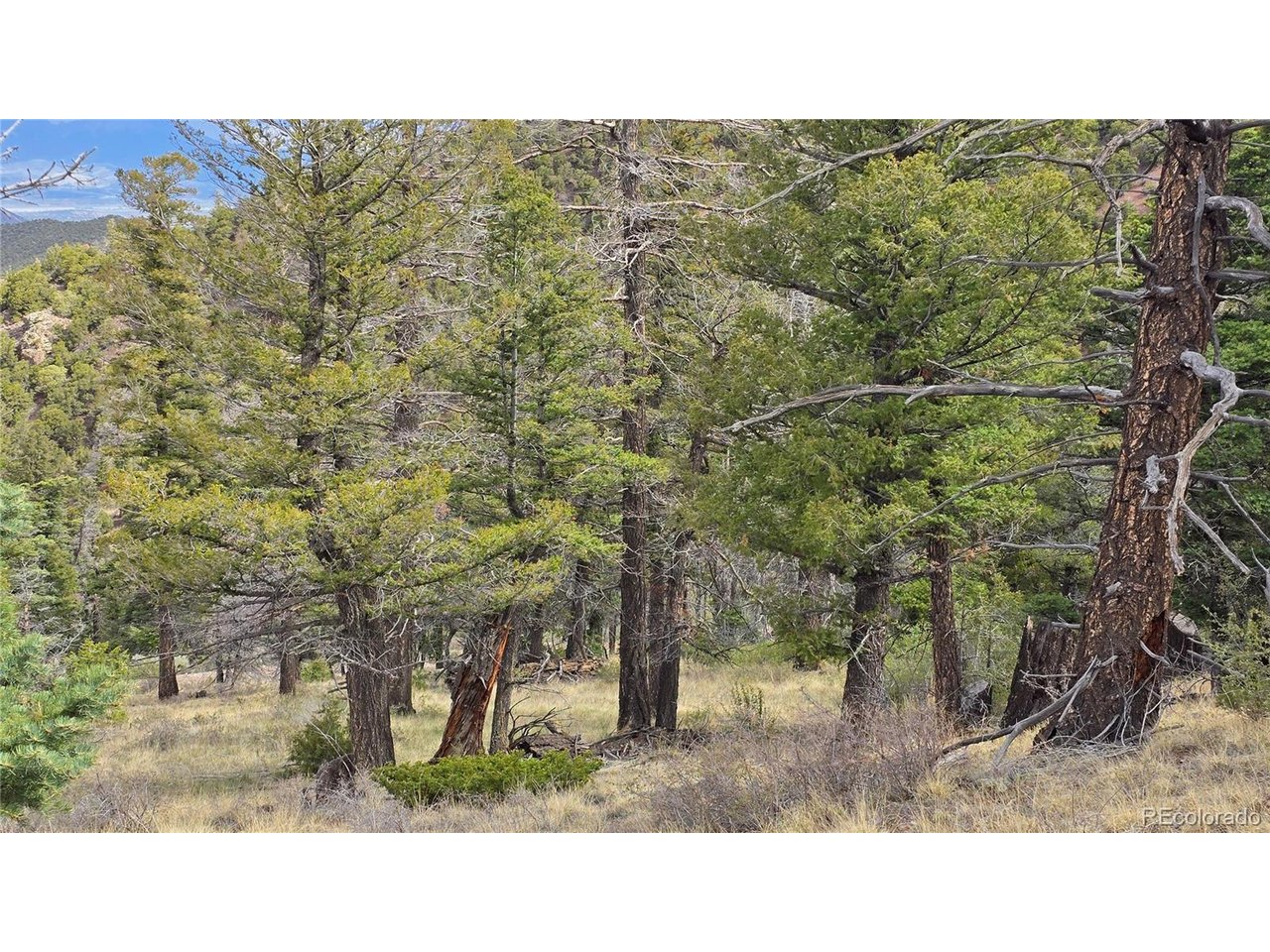 5505 Balleroy Road San Luis, CO 81152 - Photo 4 of 32