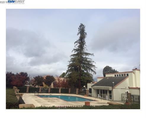 464 Dempsey Road, Unit 267 Milpitas, CA 95035 - Photo 5 of 9 Gallery Image 5