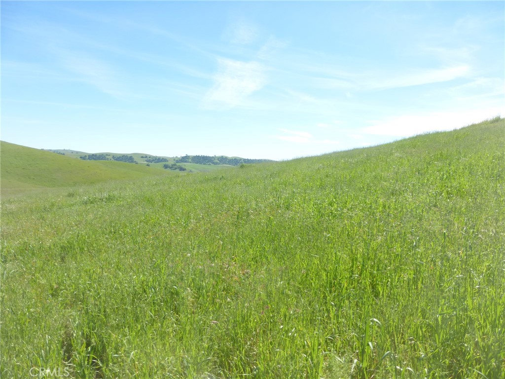 0 Douglas Road San Miguel, CA 93451 - Photo 72 of 75