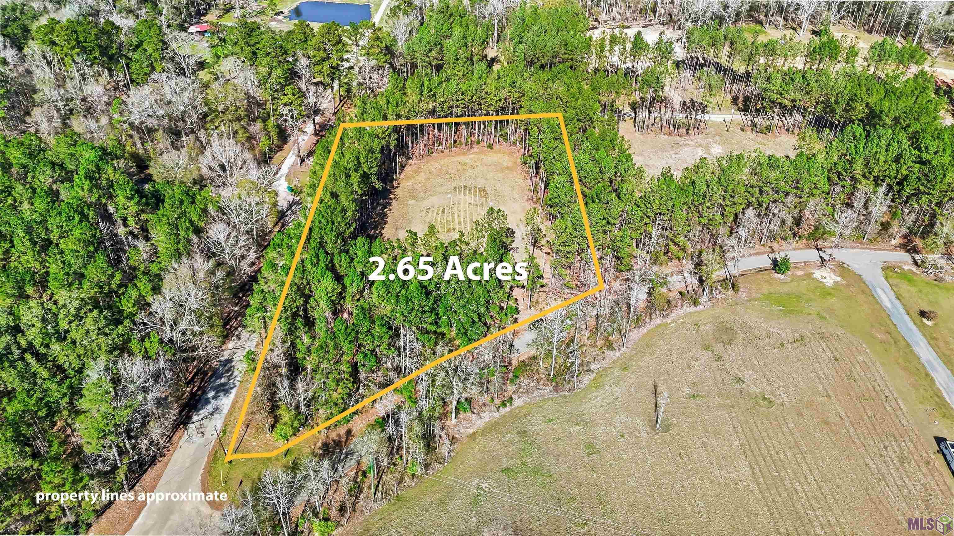 39735 Sand Hill Road Walker, LA 70785 - Photo 2 of 10