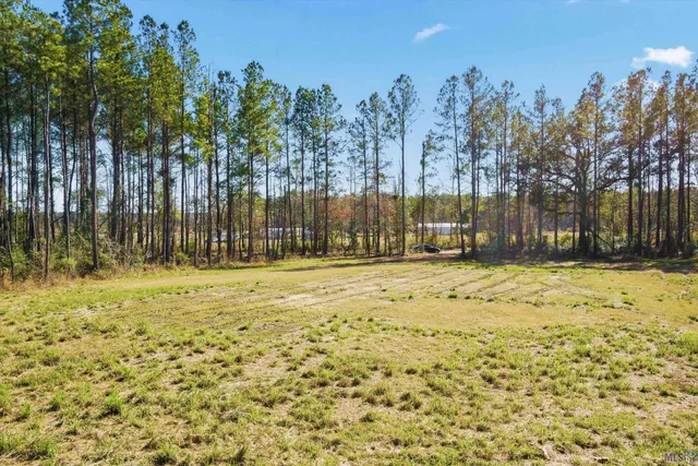 $115,000 | 39735 Sand Hill Road, Walker, LA 70785
