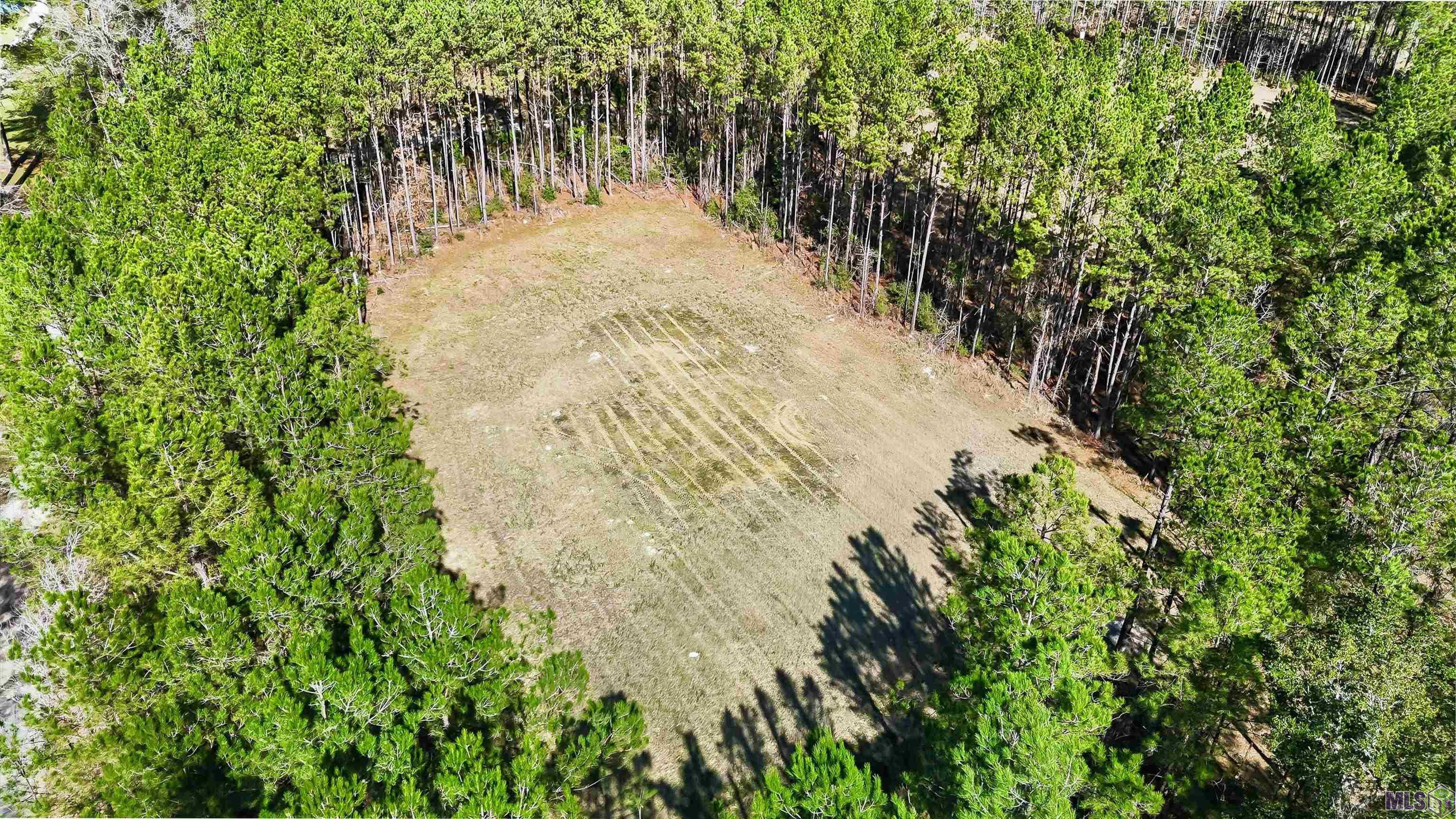 39735 Sand Hill Road Walker, LA 70785 - Photo 5 of 10