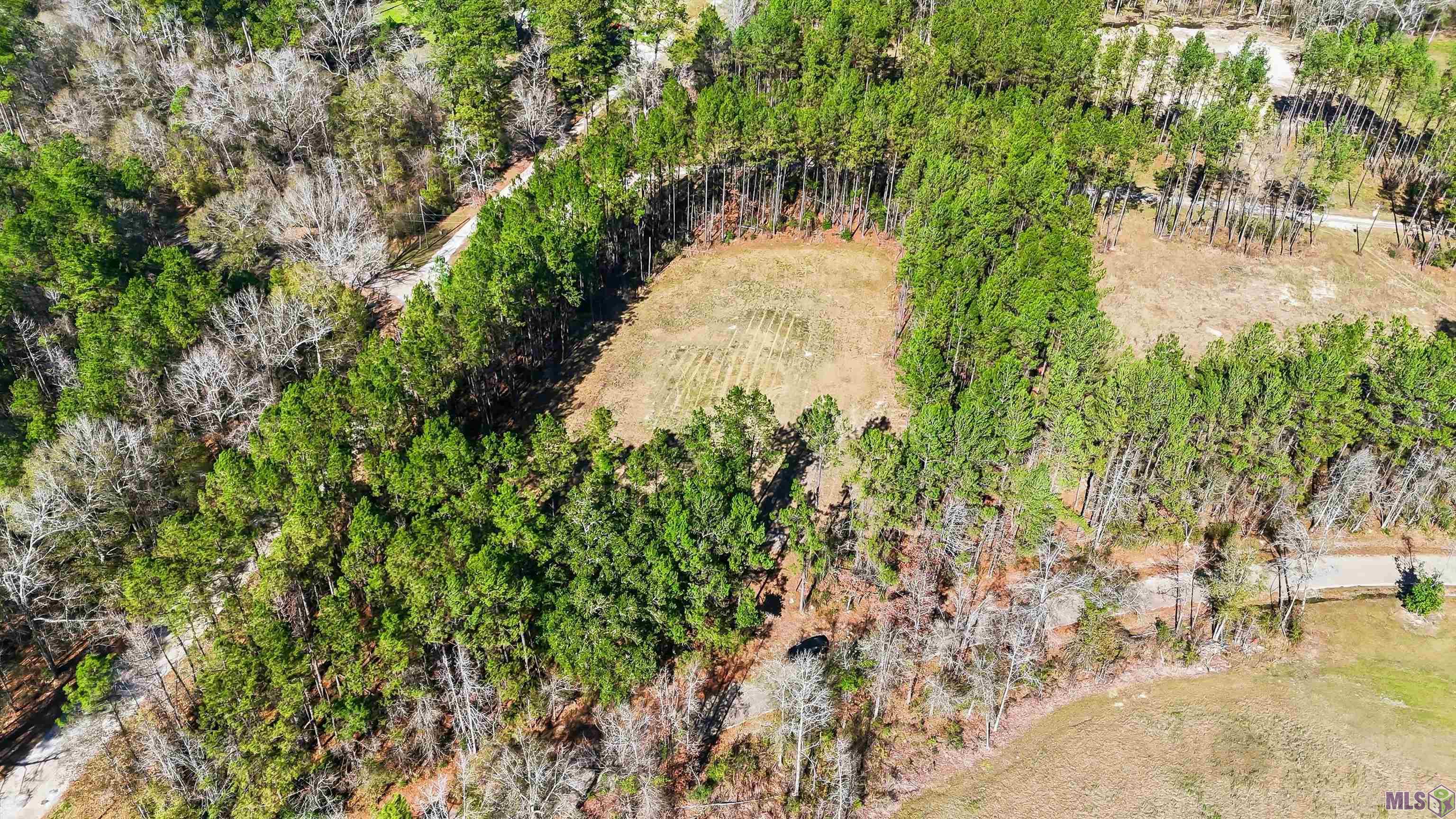 39735 Sand Hill Road Walker, LA 70785 - Photo 6 of 10