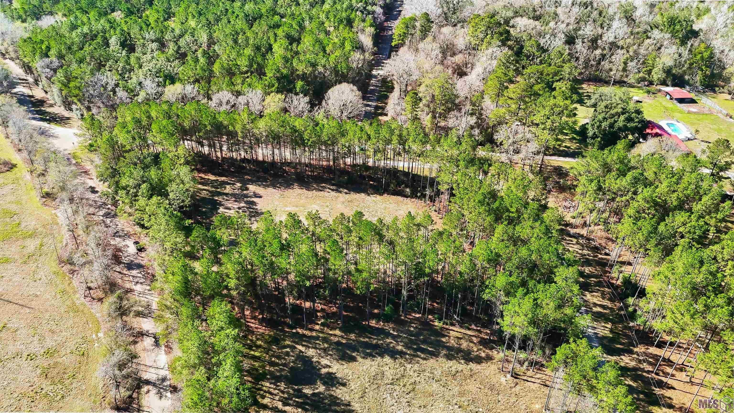 39735 Sand Hill Road Walker, LA 70785 - Photo 7 of 10