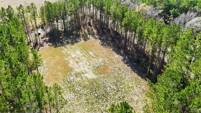 $115,000 | 39735 Sand Hill Road, Walker, LA 70785