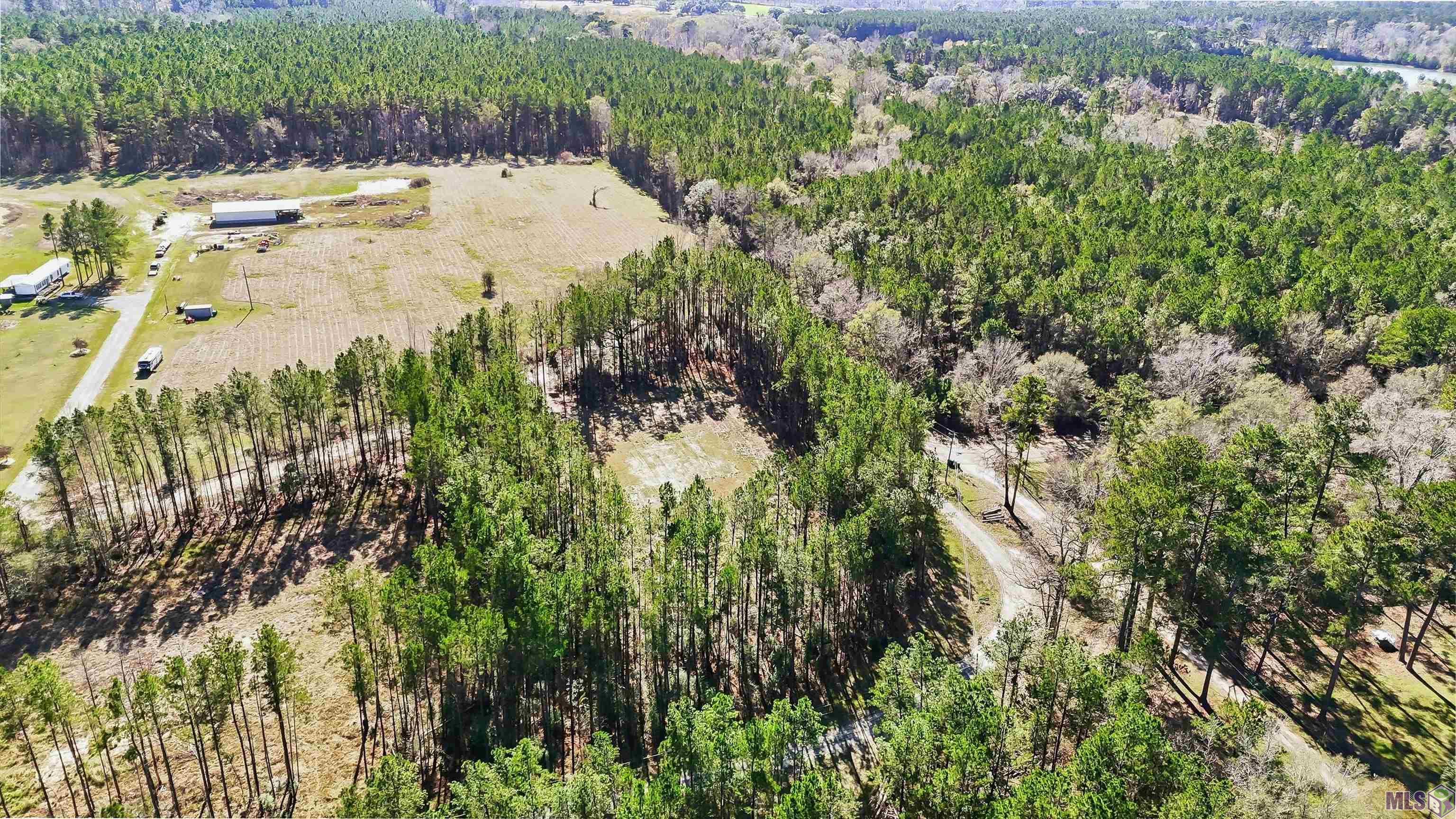 39735 Sand Hill Road Walker, LA 70785 - Photo 10 of 10