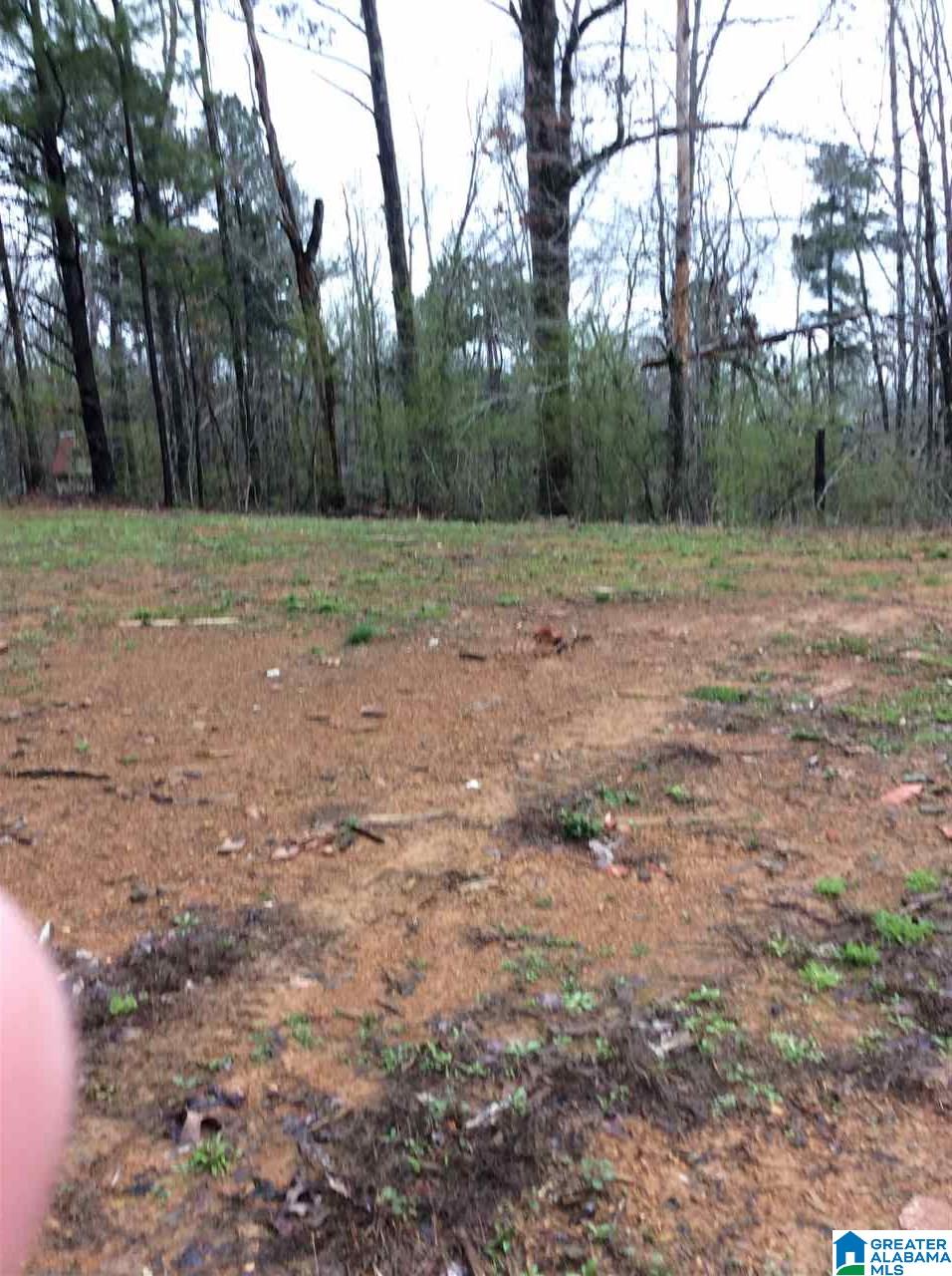 8941 Corner School Road, Unit 3 009 Warrior, AL 35180 - Photo 3 of 5