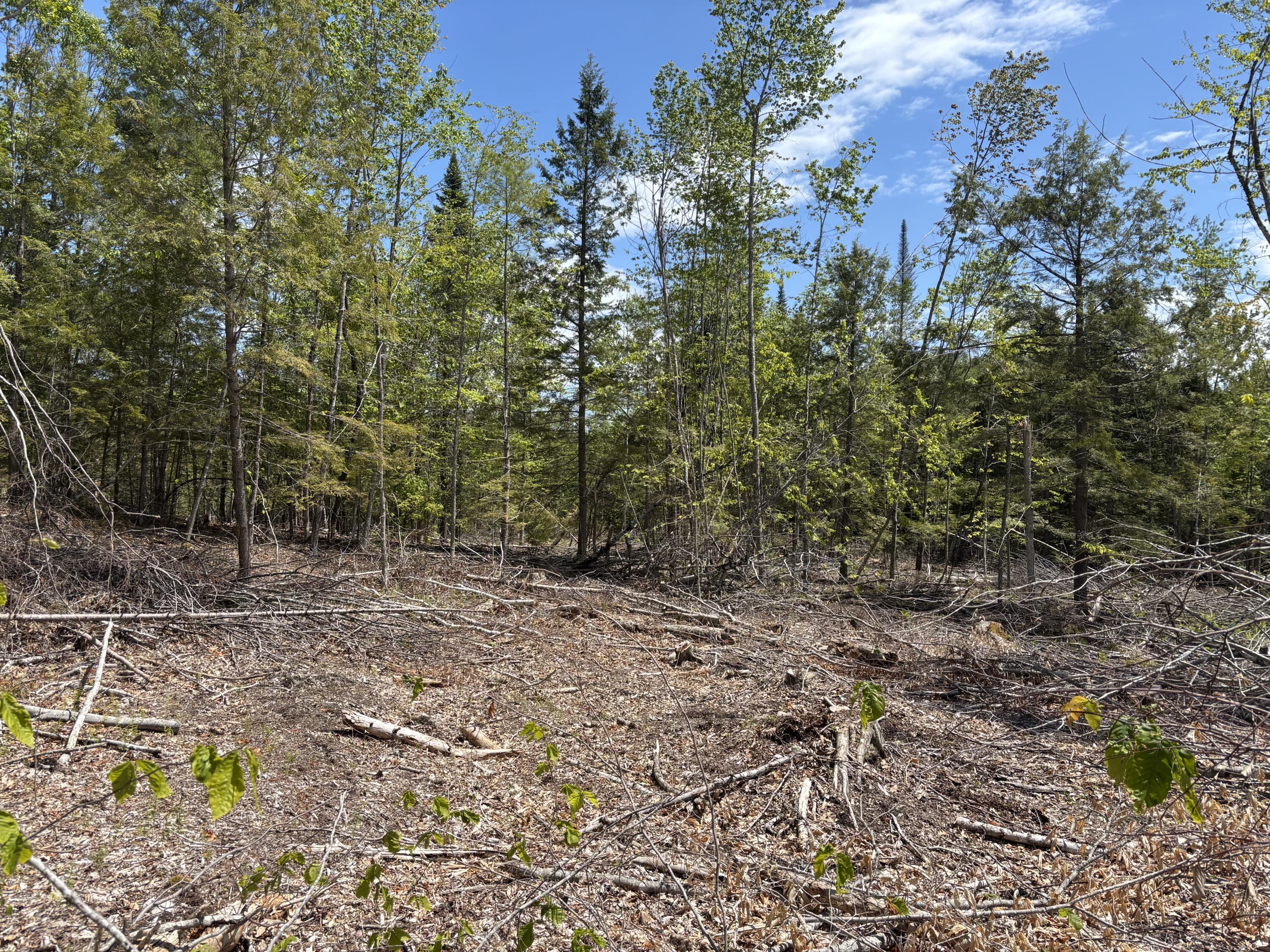 2-l 1 Off Bean Road Mercer, ME 04957 - Photo 5 of 14 IMG_2364
