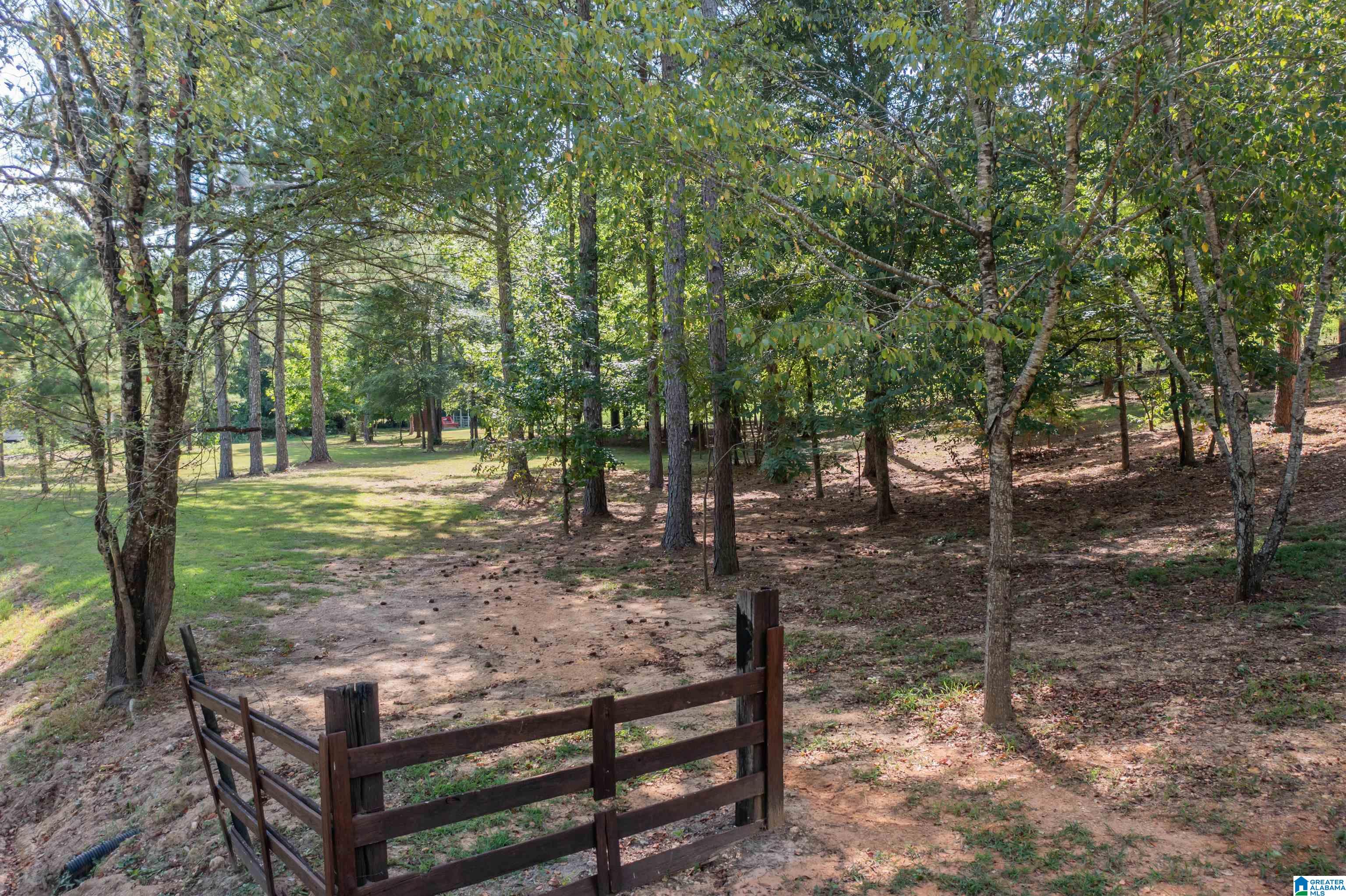 1961 Dripping Rock Road Piedmont, AL 36272 - Photo 37 of 47