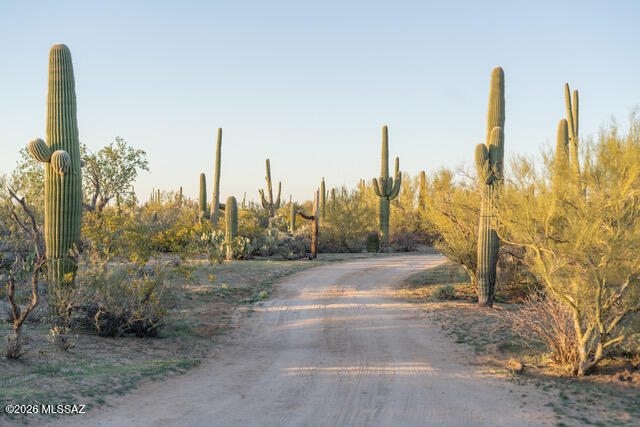 12175 West Dancing Raven Road Tucson, AZ 85743 - Photo 49 of 52 dirt road to property