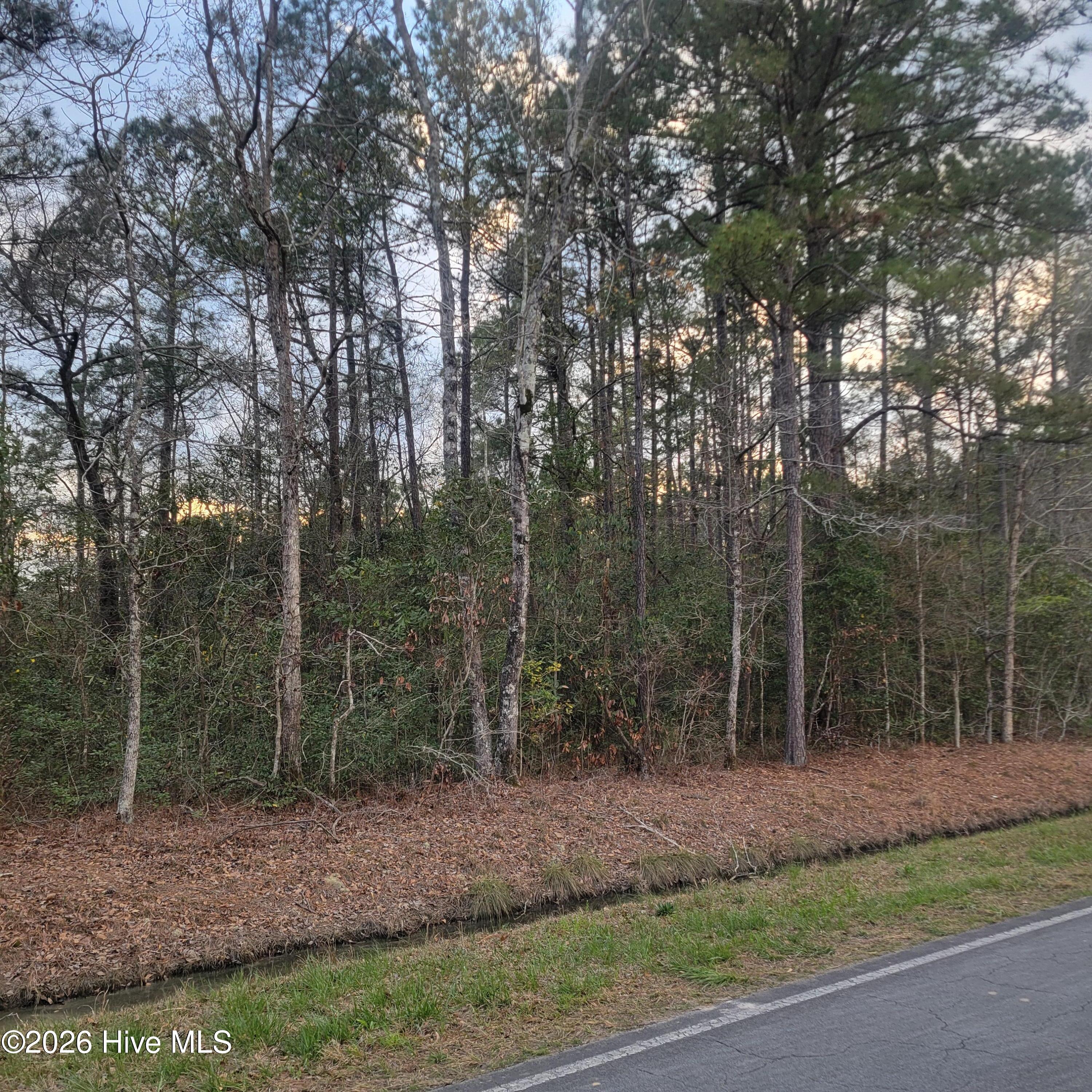 8 Fennell Town Road Rocky Point, NC 28457 - Photo 2 of 2 1000030440