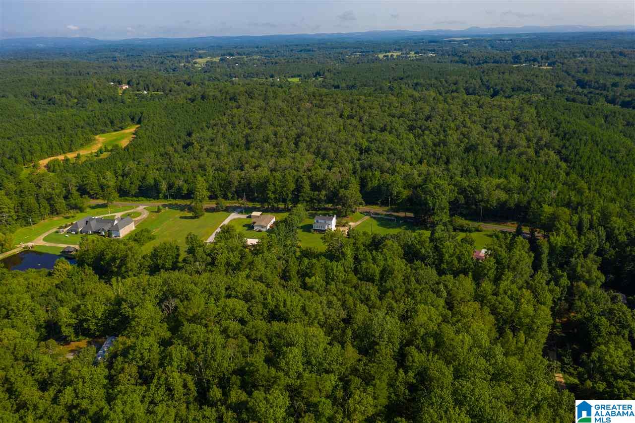 3309 Self Creek Road Pinson, AL 35126 - Photo 38 of 48
