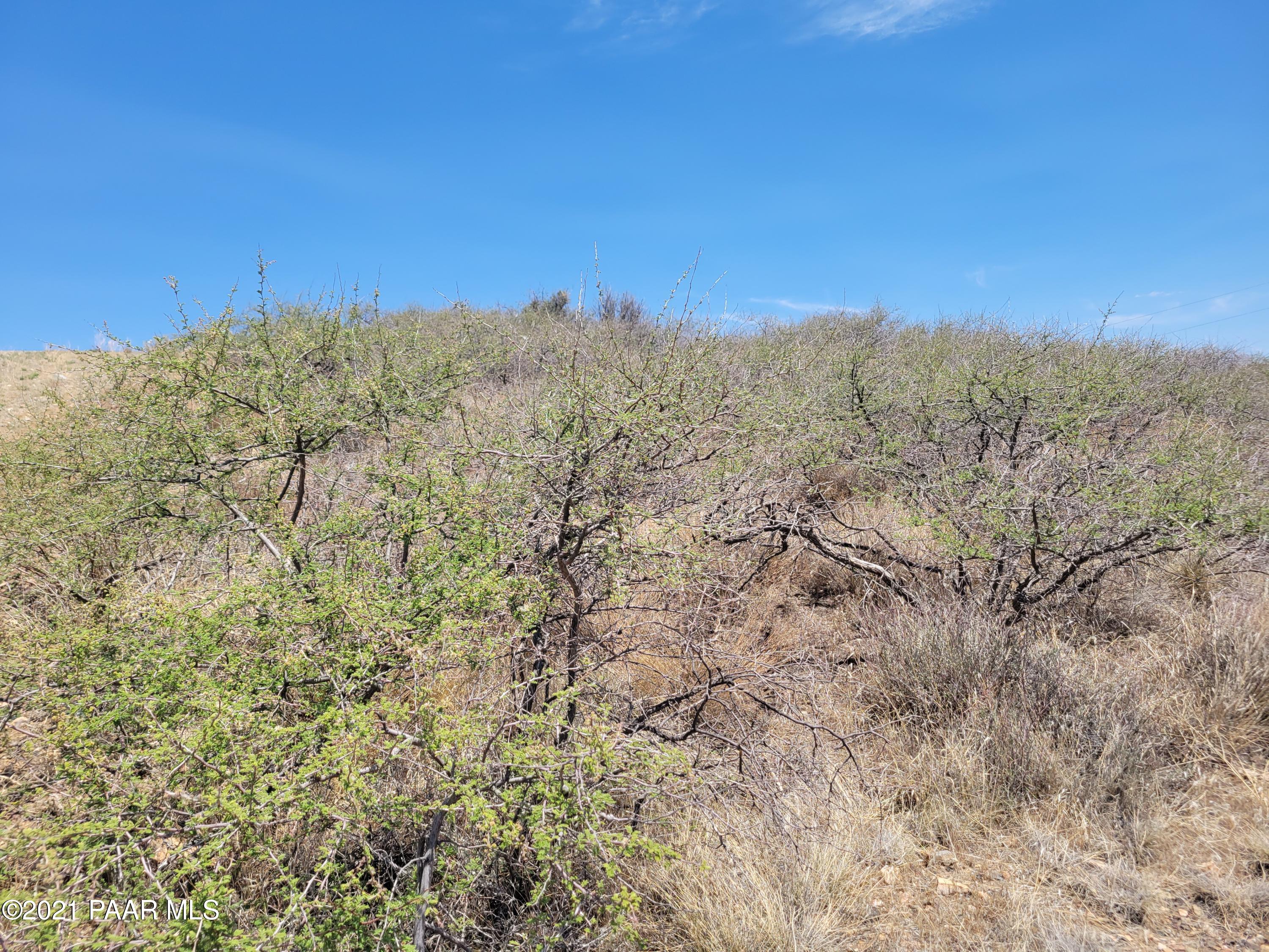18123-141 Spoon Road Peeples Valley, AZ 86332 - Photo 9 of 18 Lot