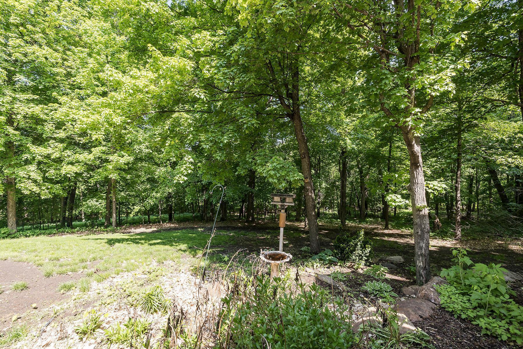 8570 Maple View Drive Cologne, MN 55322 - Photo 49 of 50 Gallery Image 49