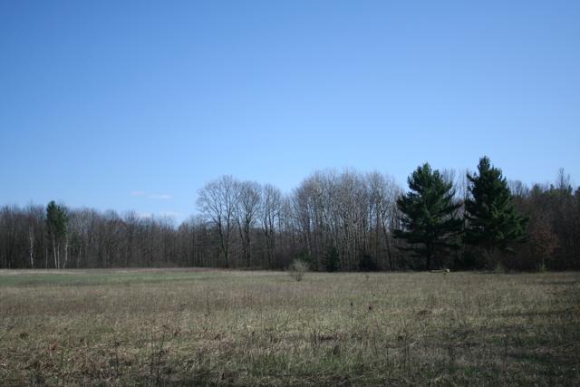 8895 Buchanan Road Mecosta, MI 49332 - Photo 2 of 4 Additional Photo