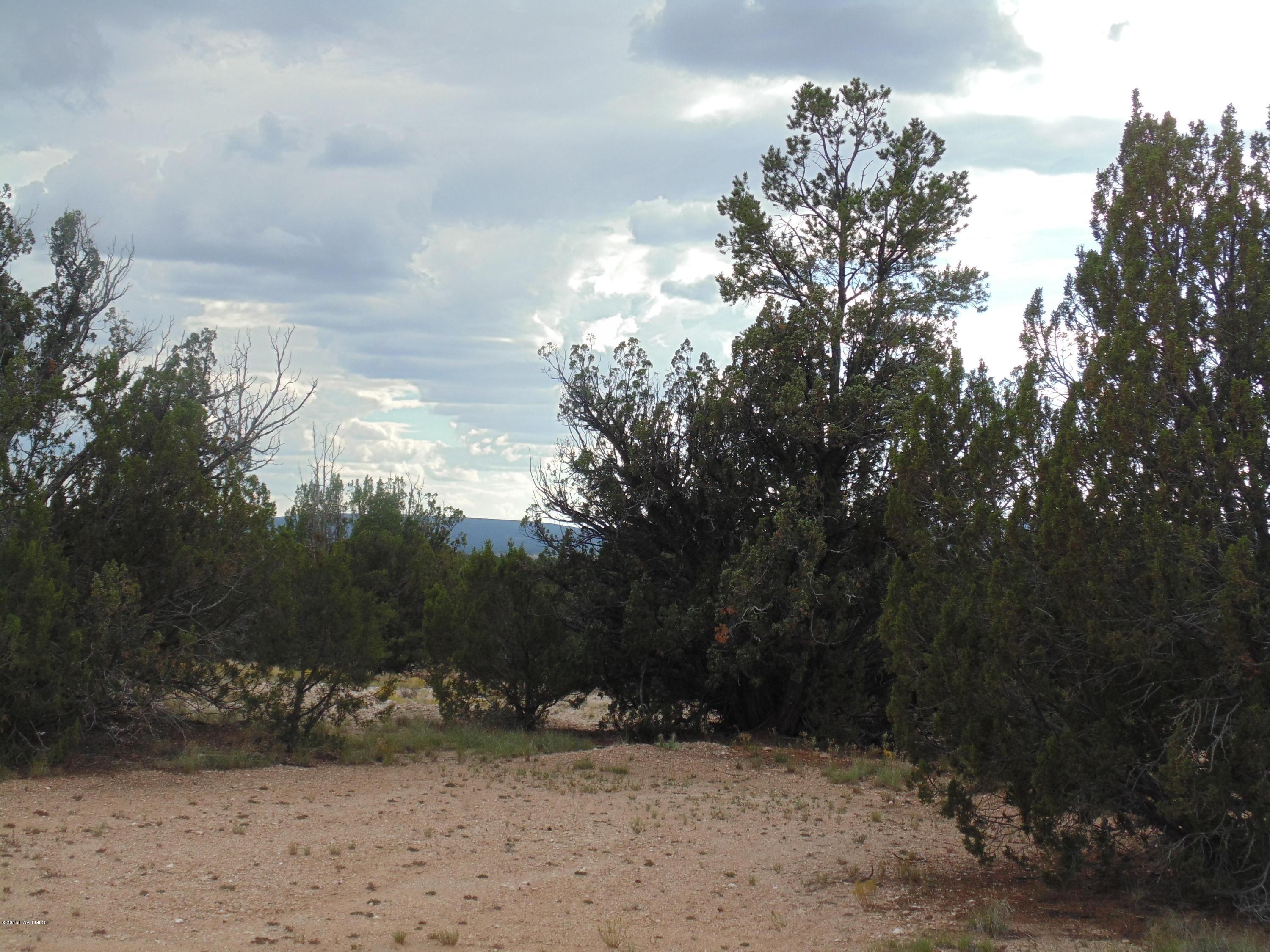 25855 Fort Rock Road Seligman, AZ 86337 - Photo 8 of 14 DSC01010