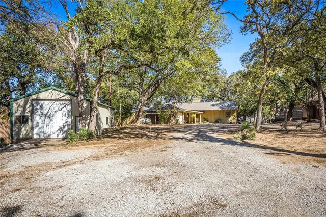 a view of a yard with a tree