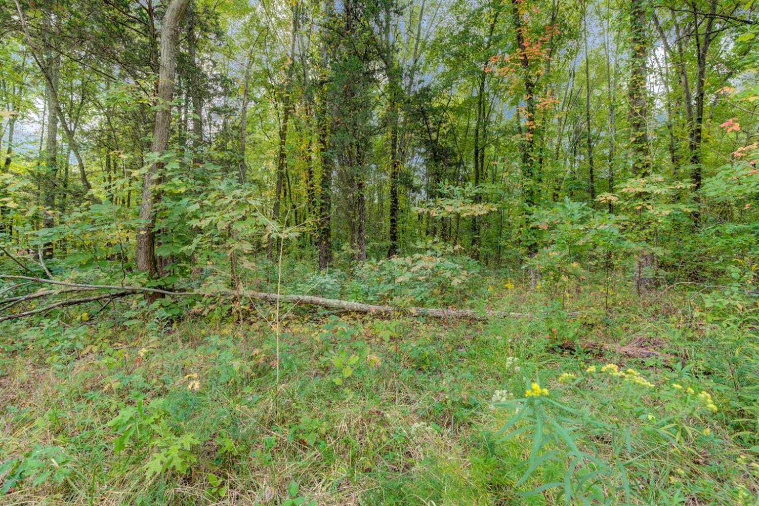 A Locust Lake Road Amelia, OH 45102 - Photo 9 of 45 Gallery Image 9
