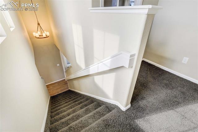 884 Diamond Rim Drive Colorado Springs, CO 80921 - Photo 14 of 39 Gallery Image 14