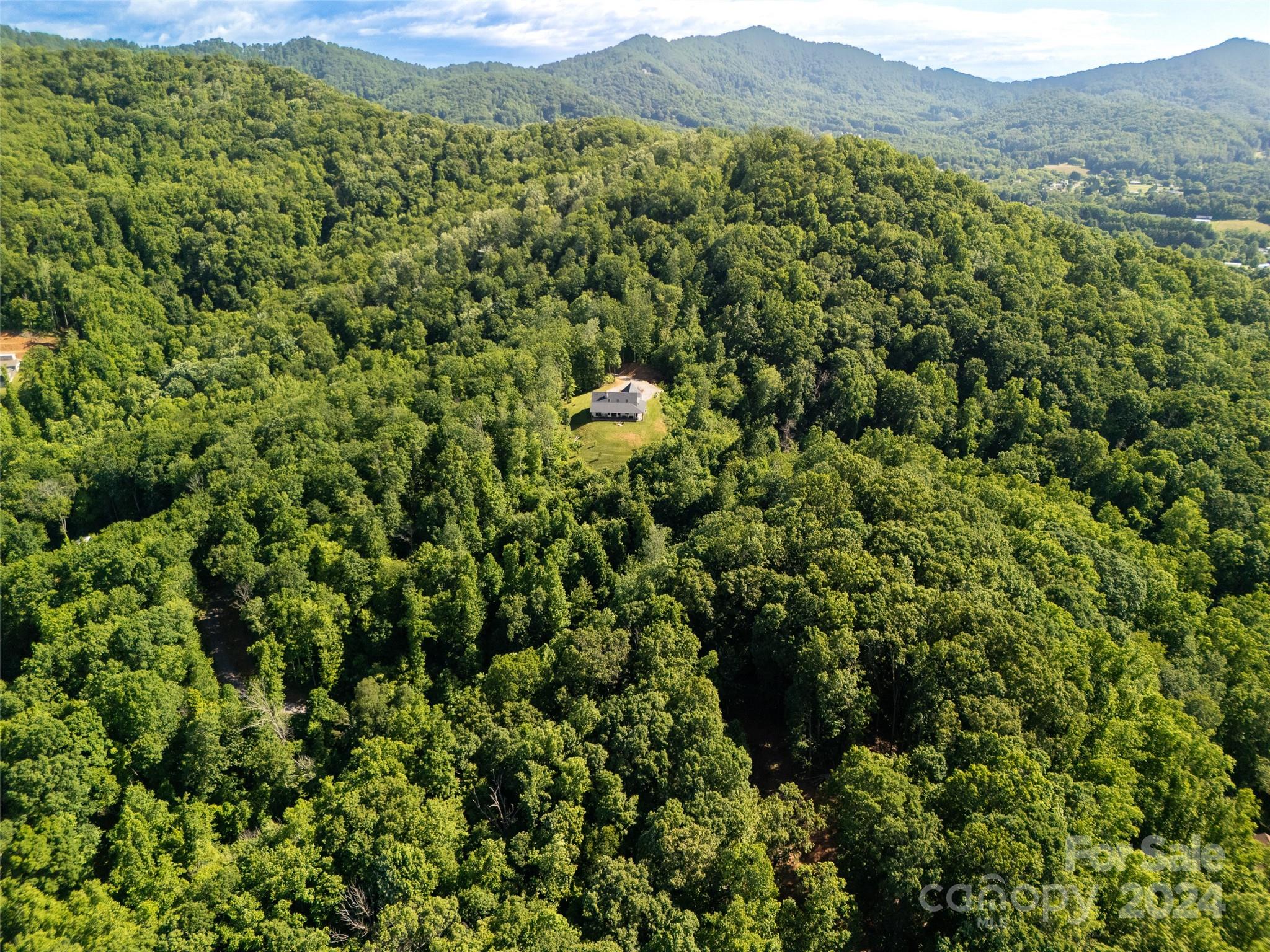 41 Creek Run Road Candler, NC 28715 - Photo 46 of 48 Gallery Image 46