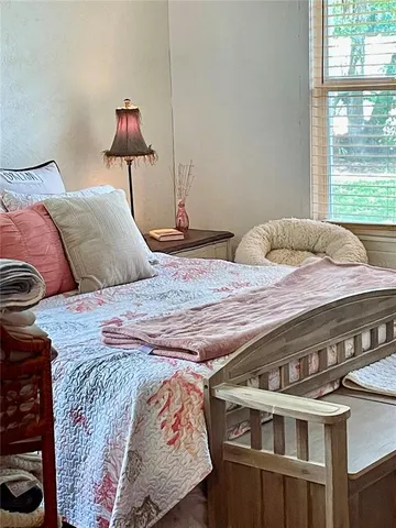 a view of a yard with plants and trees