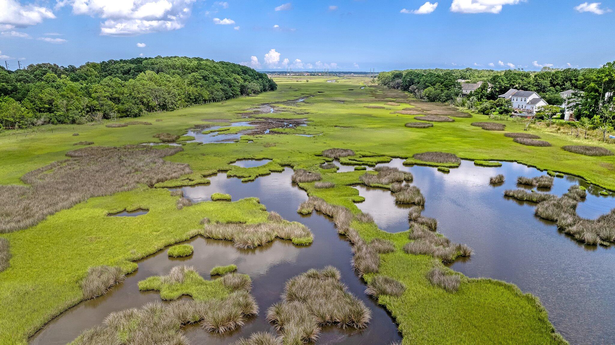 1 River Road Johns Island, SC 29455 - Photo 4 of 8 1-web-or-mls-CREM_1527 River Rd_010