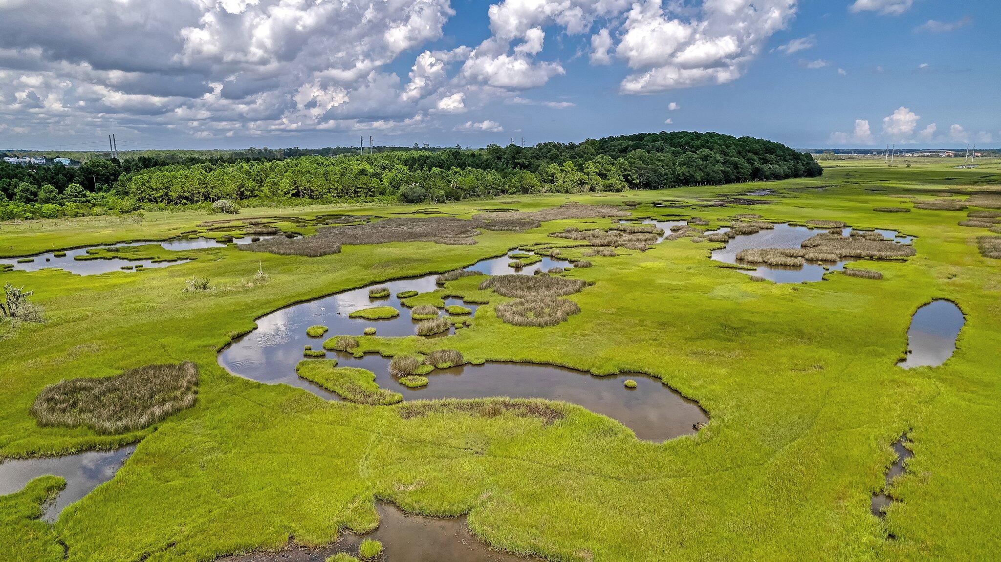1 River Road Johns Island, SC 29455 - Photo 7 of 8 12-web-or-mls-CREM_1527 River Rd_012