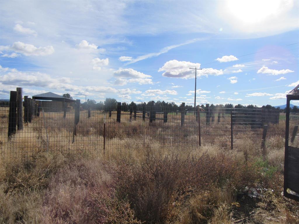 4130 Sheep Mountain Road Macdoel, CA 96058 - Photo 14 of 18 4130 sheep mountain pasture 5 (5)