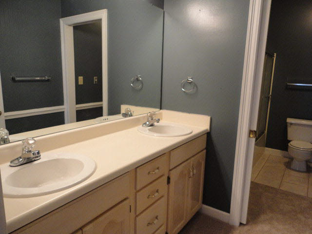 10 Cottage Drive Fairhope, AL 36532 - Photo 9 of 16 Master Bath