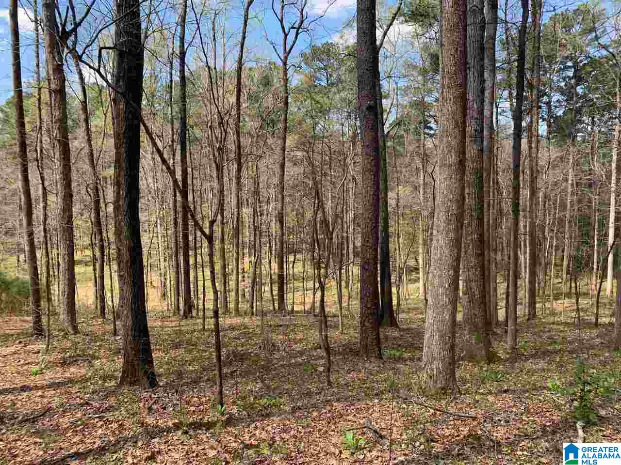 5925 Cahaba Valley Road, Unit 1 Birmingham, AL 35242 - Photo 16 of 21
