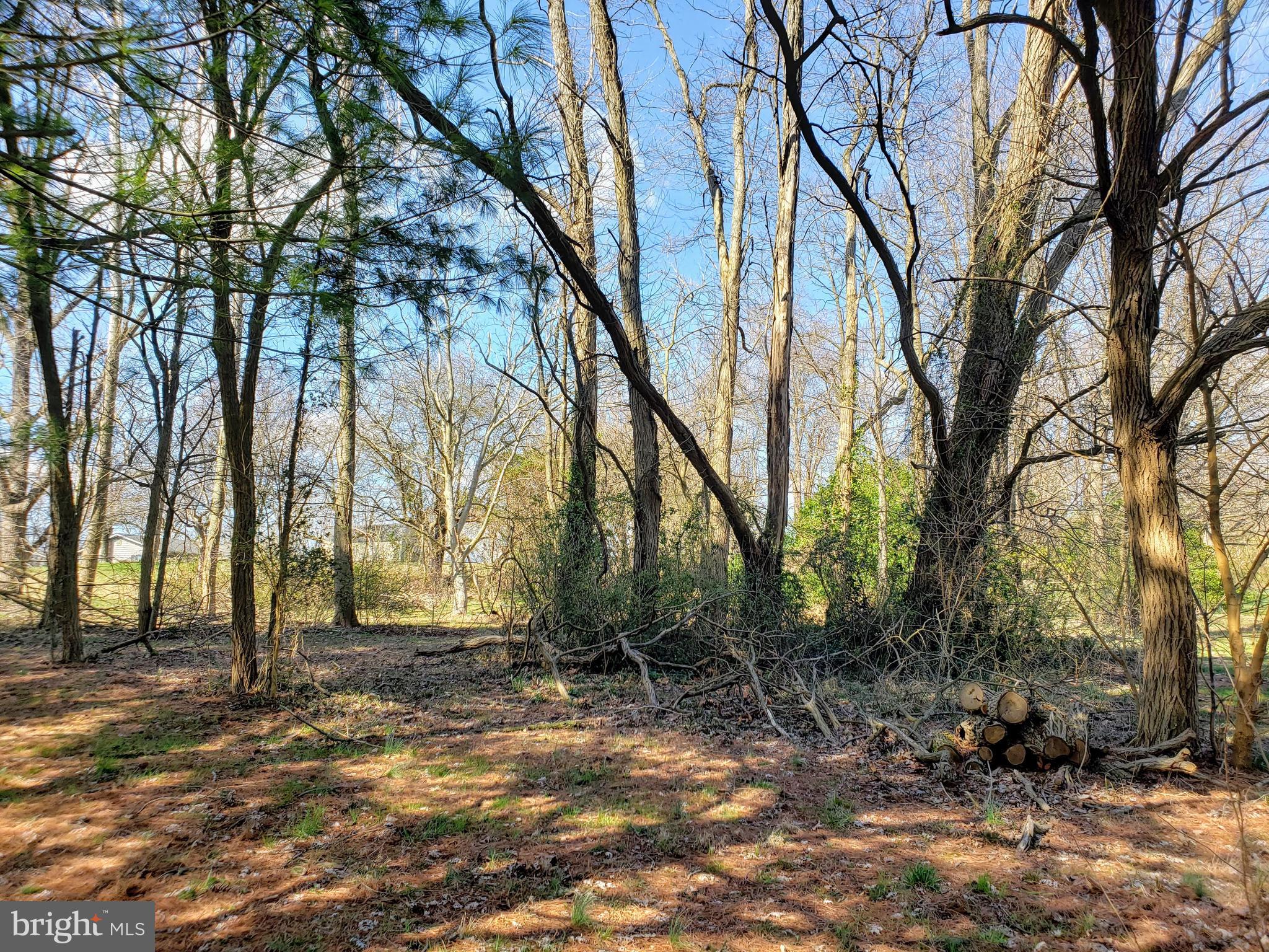 Cox Road Colora, MD 21917 - Photo 2 of 4 Partially Treed