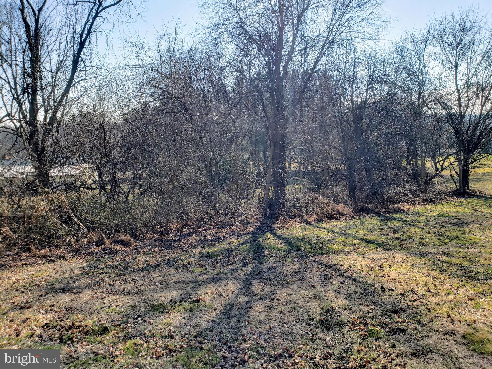 Cox Road Colora, MD 21917 - Photo 4 of 4 View From the Rear of the Lot