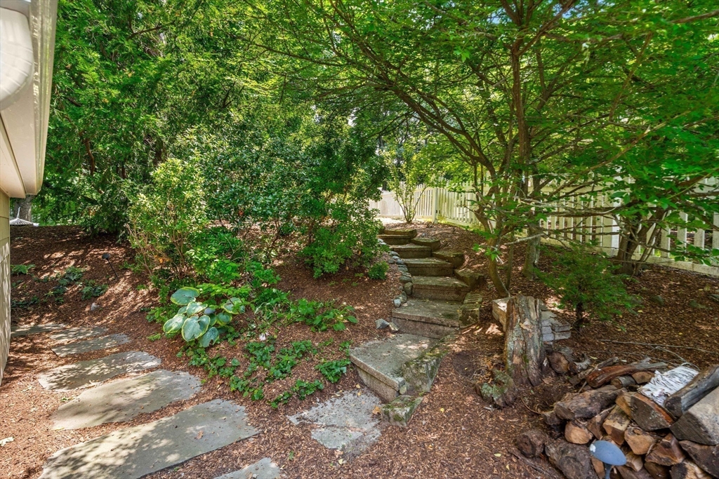 4 Daniels Street Lexington, MA 02421 - Photo 39 of 40