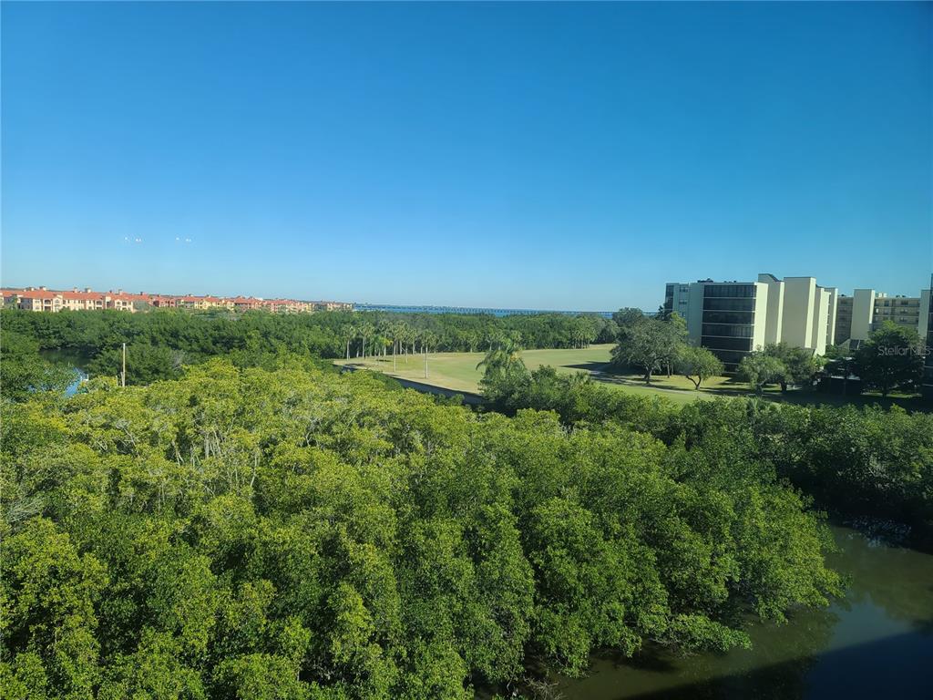 a view of a city with lush green forest
