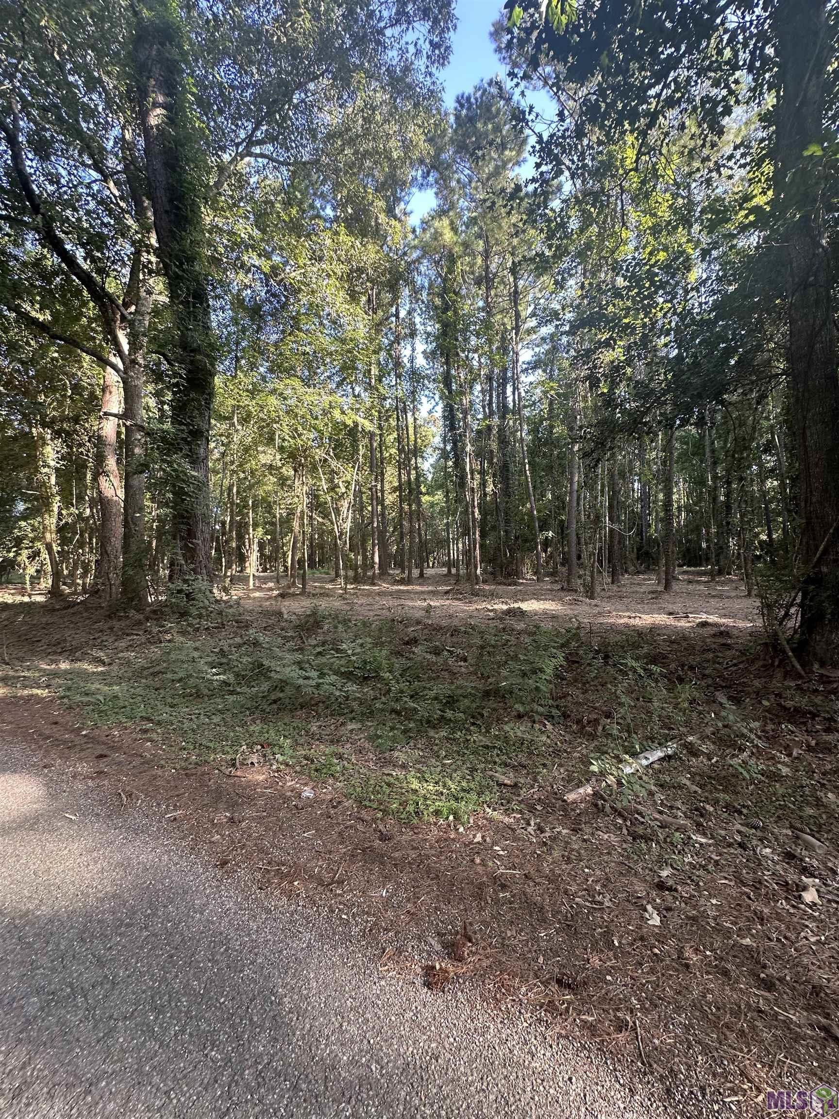 Lot A-1 Scott Barr Road Slaughter, LA 70777 - Photo 3 of 32 Gallery Image 3