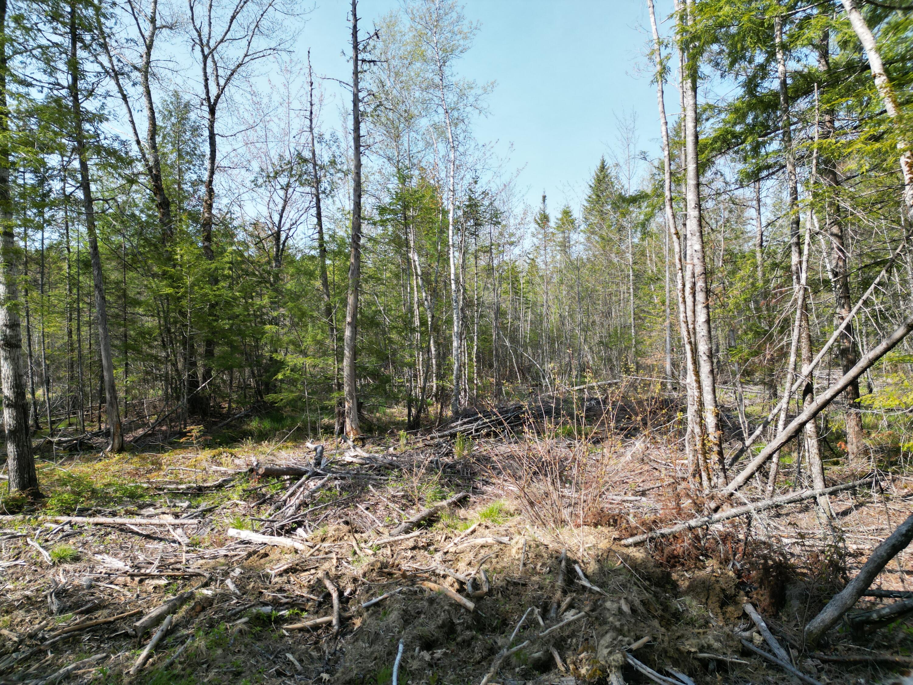 Lot 1 Mattamiscontis Road Howland, ME 04448 - Photo 6 of 15 DJI_0514