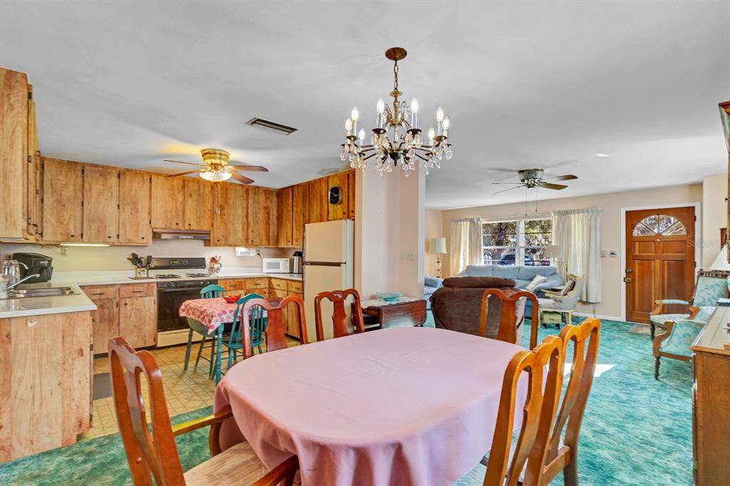 530 McKenzie Road Lake Helen, FL 32744 - Photo 18 of 34 Gallery Image 18