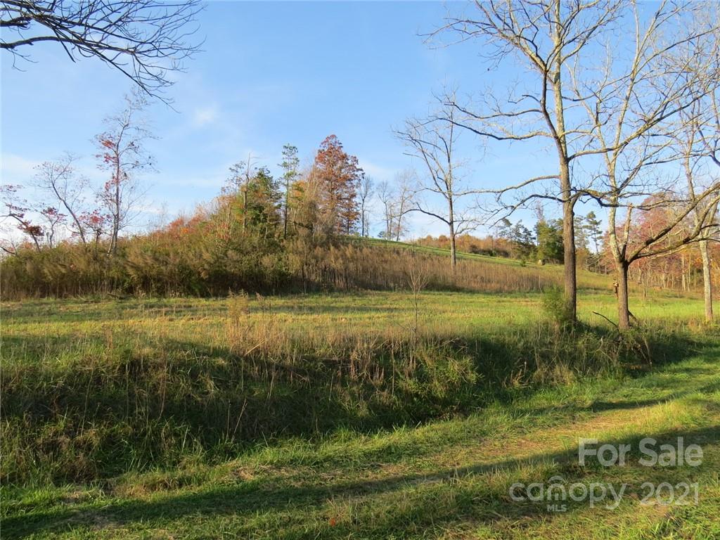 926 Coolbrook Road Union Grove, NC 28689 - Photo 16 of 48 a view of a garden with an outdoor space