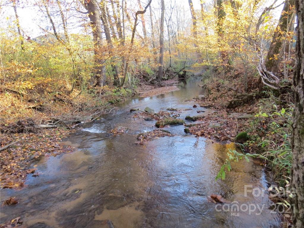 926 Coolbrook Road Union Grove, NC 28689 - Photo 24 of 48 a view of a yard with trees
