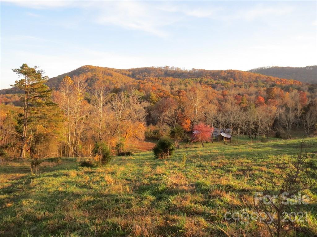 926 Coolbrook Road Union Grove, NC 28689 - Photo 26 of 48 a view of mountain with trees