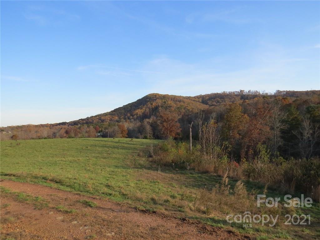 926 Coolbrook Road Union Grove, NC 28689 - Photo 30 of 48 a view of mountain with trees in background