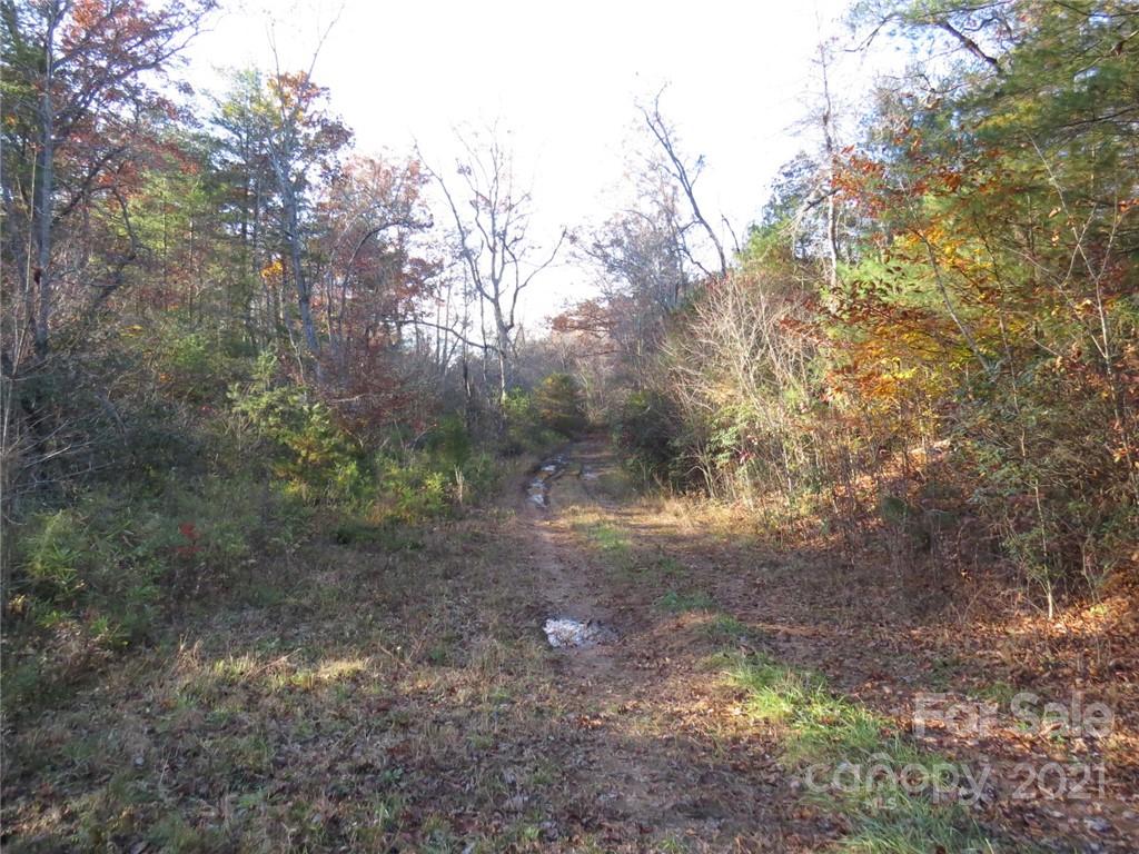 926 Coolbrook Road Union Grove, NC 28689 - Photo 34 of 48 a view of a yard with trees