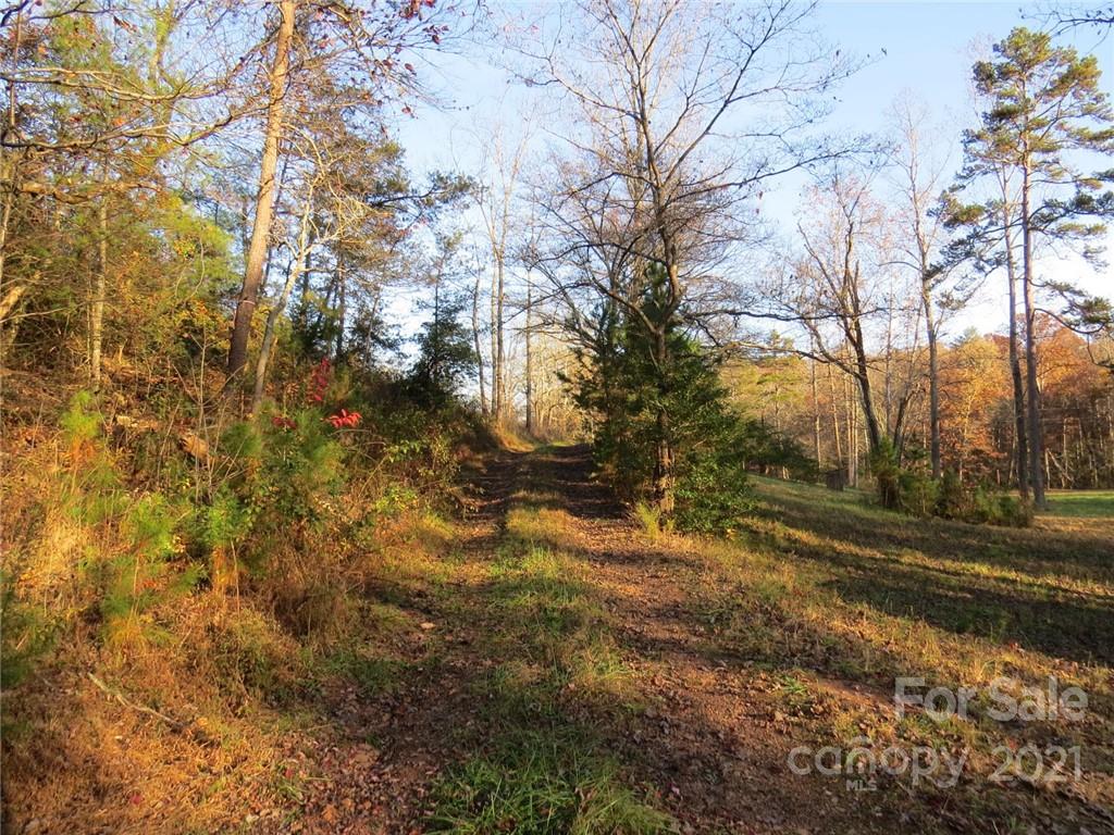 926 Coolbrook Road Union Grove, NC 28689 - Photo 39 of 48 a view of a yard with trees