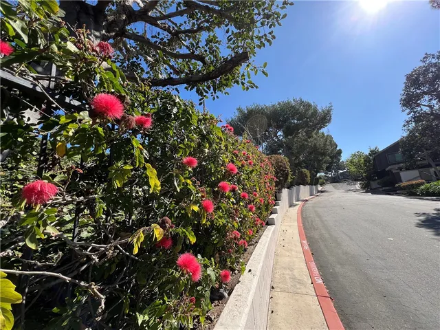 a picture of flowers